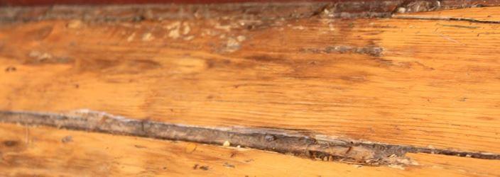Aantasting houten vloer door vocht